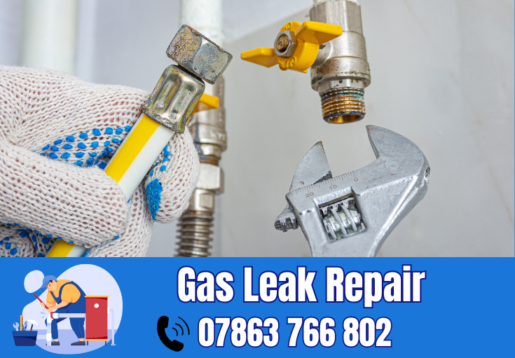 gas leak repair Hale