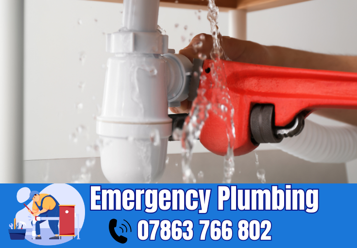  plumber Hale Barns