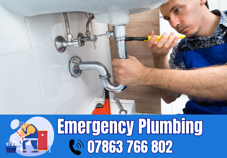  plumber Ringway