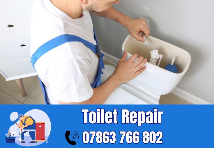 toilet repair Hale